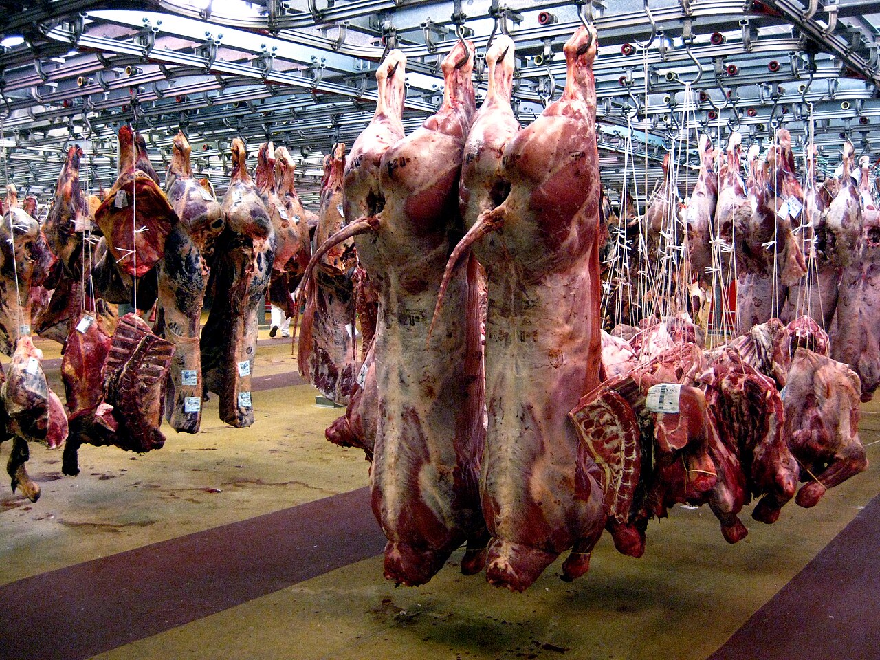 Meat Sector Engineering and Cold Chain Standards